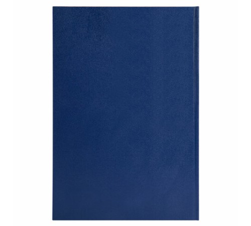 Книга учета 96 л., клетка, твердая, бумвинил, блок офсет, А4 200х290 мм, ОФИСМАГ, 130177