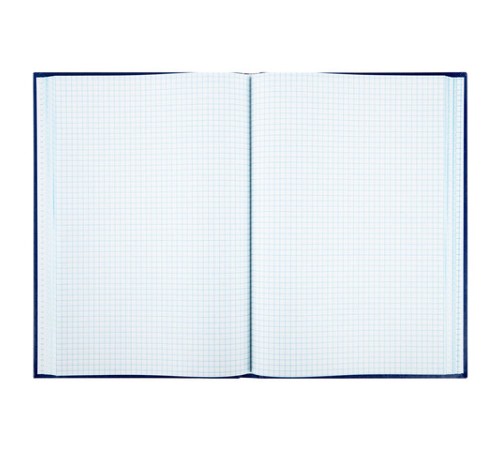 Книга учета 160 л., клетка, твердая, бумвинил, блок офсет, А4 200х290 мм, BRAUBERG, 130182