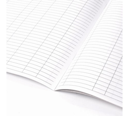 Домовая книга (поквартирная), форма № 11, 12 л., картон, блок офсет, А4 200х290 мм, STAFF, 130192