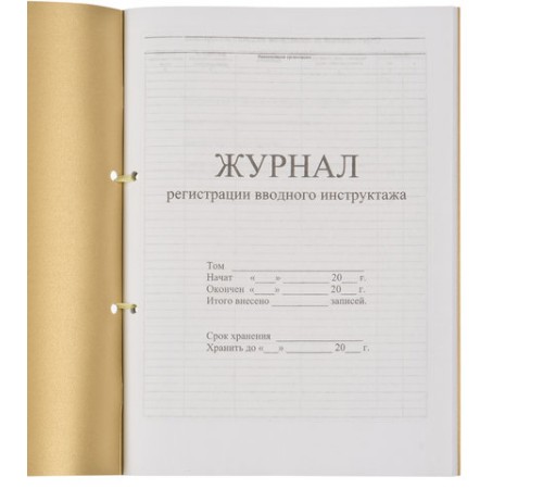 Журнал регистрации вводного инструктажа, 32 л., сшивка, пломба, обложка ПВХ, 130204