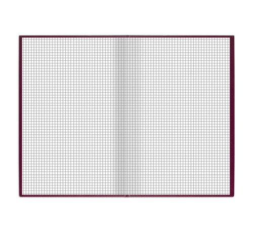 Книга учета 96 л., клетка, твердая, бумвинил, блок офсет, А4 200х290 мм, BRAUBERG, бордовая, 130224