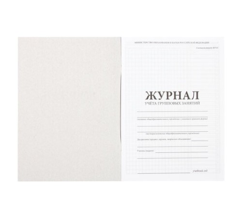 Журнал учёта групповых занятий, 48 л., картон, блок офсет, А4 200х280 мм, STAFF, 130246