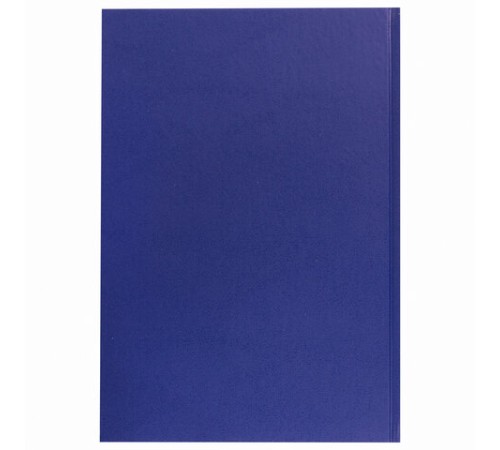 Журнал учёта товарно-материальных ценностей, 96 л., бумвинил, офсет, А4 200х290 мм, BRAUBERG, 130255