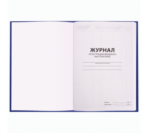 Журнал регистрации вводного инструктажа, 96 л., А4 200х290 мм, бумвинил, офсет BRAUBERG, 130258