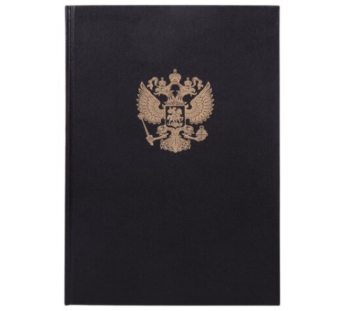 Книга учета 96 л., клетка, твердая, бумвинил, офсет, герб, А4 (200х290 мм), BRAUBERG, черная, 130275