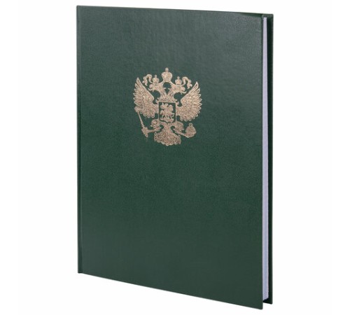 Книга учета 96 л., клетка, твердая, бумвинил, офсет, герб, А4 (200х290 мм), BRAUBERG, зеленая, 130277