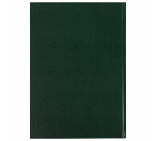 Книга учета 96 л., клетка, твердая, бумвинил, офсет, наклейка, А4 (200х290 мм), BRAUBERG, зеленая, 130280