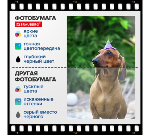 Фотобумага глянцевая, А4, 160 г/м2, односторонняя, 100 листов, ПАКЕТ, BRAUBERG ORIGINAL, 364415