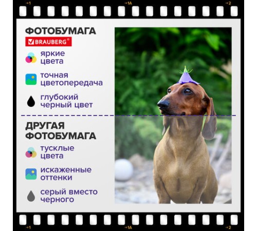 Фотобумага матовая, 10х15 см, 230 г/м2, односторонняя, 100 листов, ПАКЕТ, BRAUBERG ORIGINAL, 364423