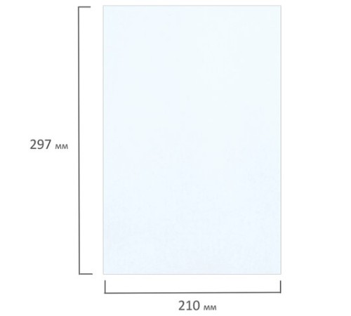 Фотобумага матовая, А4, 200 г/м2, двусторонняя, 100 листов, ПАКЕТ, BRAUBERG ORIGINAL, 364434