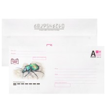 Конверты маркированные ПОЧТА РОССИИ 