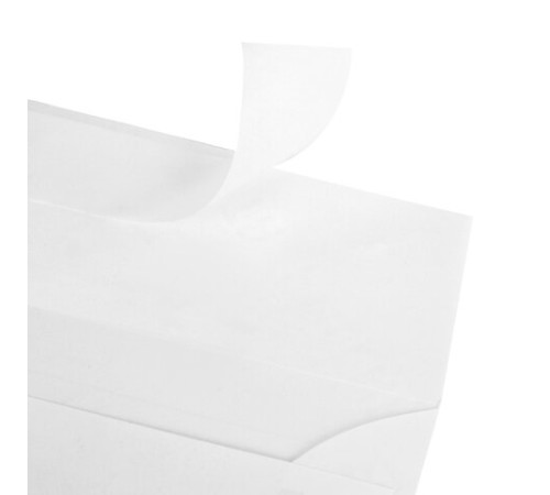 Конверты маркированные ПОЧТА РОССИИ 