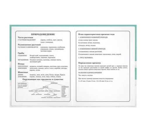 Дневник 1-4 класс 48 л., гибкая обложка, ЮНЛАНДИЯ, выборочный лак, с подсказом, 