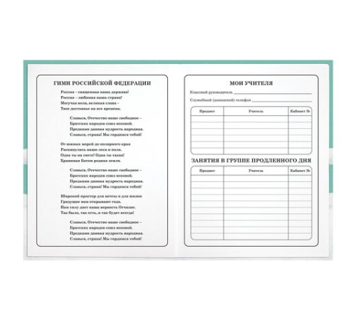 Дневник 1-4 класс 48 л., гибкая обложка, ЮНЛАНДИЯ, выборочный лак, с подсказом, 