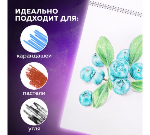 Скетчбук, белая бумага 120 г/м2, 205х290 мм, 40 л., гребень, жёсткая подложка, BRAUBERG ART DEBUT, 110984