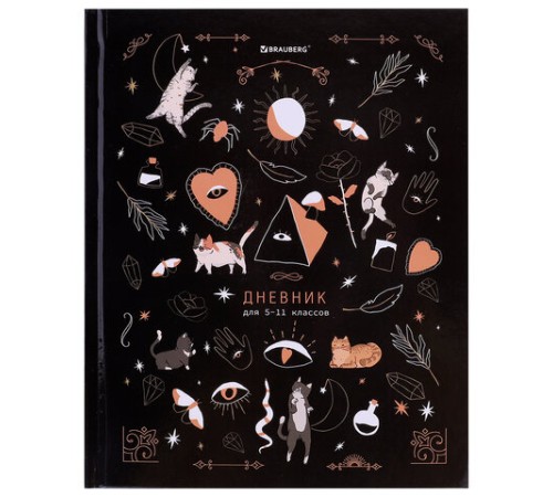 Дневник 5-11 класс 48 л., твердый, BRAUBERG, глянцевая ламинация, с подсказом, 