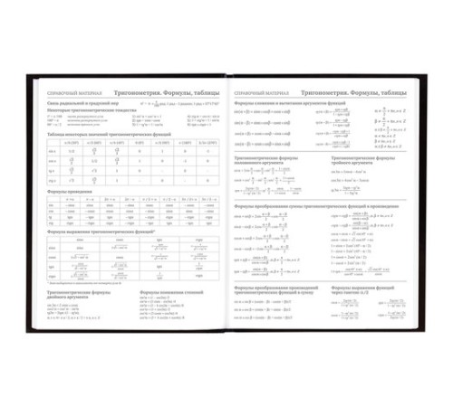 Дневник 5-11 класс 48 л., твердый, BRAUBERG, глянцевая ламинация, с подсказом, 