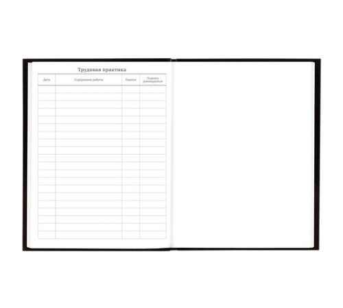 Дневник 5-11 класс 48 л., твердый, BRAUBERG, глянцевая ламинация, с подсказом, 