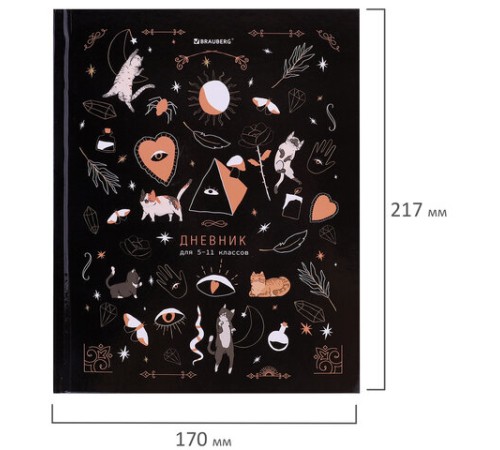 Дневник 5-11 класс 48 л., твердый, BRAUBERG, глянцевая ламинация, с подсказом, 