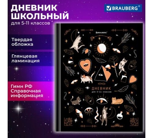 Дневник 5-11 класс 48 л., твердый, BRAUBERG, глянцевая ламинация, с подсказом, 