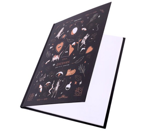 Дневник 5-11 класс 48 л., твердый, BRAUBERG, глянцевая ламинация, с подсказом, 