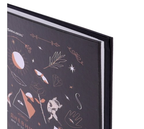 Дневник 5-11 класс 48 л., твердый, BRAUBERG, глянцевая ламинация, с подсказом, 