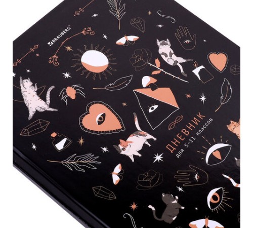 Дневник 5-11 класс 48 л., твердый, BRAUBERG, глянцевая ламинация, с подсказом, 