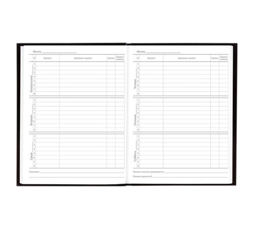 Дневник 5-11 класс 48 л., твердый, BRAUBERG, глянцевая ламинация, с подсказом, 