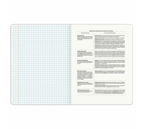 Тетрадь предметная DOG БОБИК 48 л., TWIN-лак, БИОЛОГИЯ, клетка, подсказ, BRAUBERG, 404785