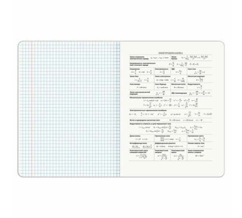 Тетрадь предметная DOG БОБИК 48 л., TWIN-лак, ФИЗИКА, клетка, подсказ, BRAUBERG, 404792