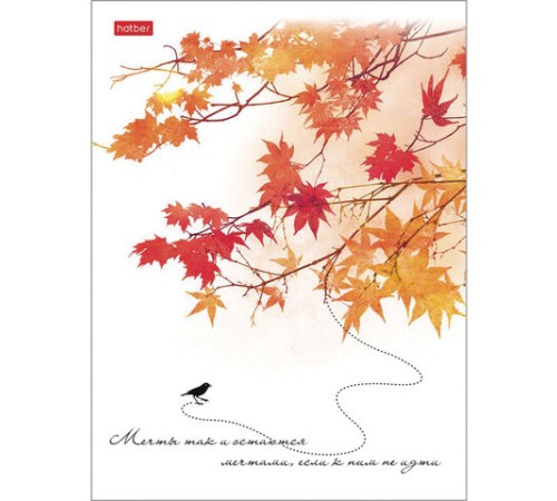 Тетрадь А5, 96 л., HATBER, скоба, клетка, матовая ламинация, тиснение, 