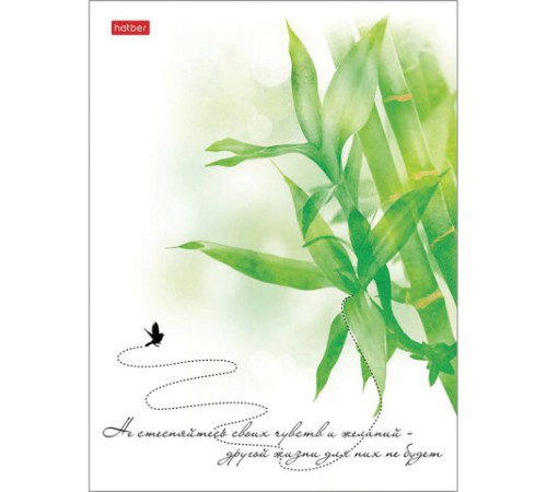 Тетрадь А5, 96 л., HATBER, скоба, клетка, матовая ламинация, тиснение, 