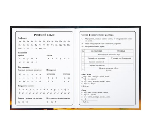 Дневник 1-4 класс 48 л., твердый, BRAUBERG, глянцевая ламинация, с подсказом, 