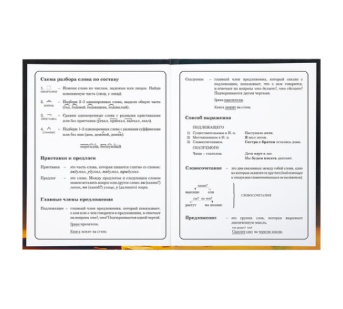 Дневник 1-4 класс 48 л., твердый, BRAUBERG, глянцевая ламинация, с подсказом, 