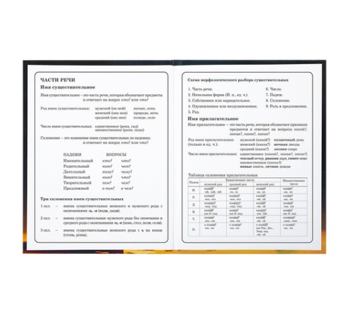 Дневник 1-4 класс 48 л., твердый, BRAUBERG, глянцевая ламинация, с подсказом, 