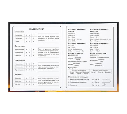 Дневник 1-4 класс 48 л., твердый, BRAUBERG, глянцевая ламинация, с подсказом, 