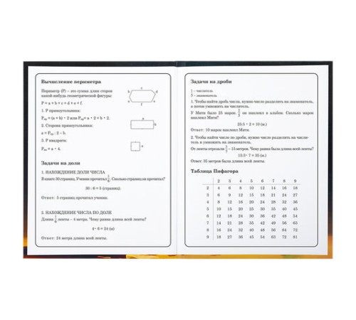 Дневник 1-4 класс 48 л., твердый, BRAUBERG, глянцевая ламинация, с подсказом, 