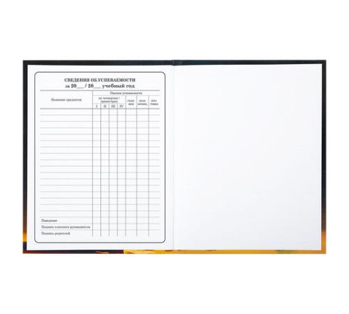 Дневник 1-4 класс 48 л., твердый, BRAUBERG, глянцевая ламинация, с подсказом, 