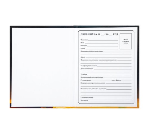 Дневник 1-4 класс 48 л., твердый, BRAUBERG, глянцевая ламинация, с подсказом, 