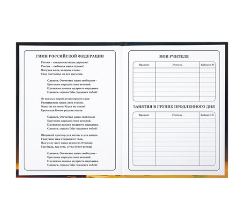 Дневник 1-4 класс 48 л., твердый, BRAUBERG, глянцевая ламинация, с подсказом, 