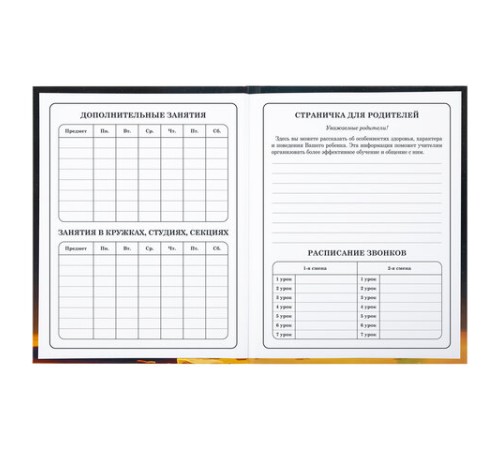 Дневник 1-4 класс 48 л., твердый, BRAUBERG, глянцевая ламинация, с подсказом, 