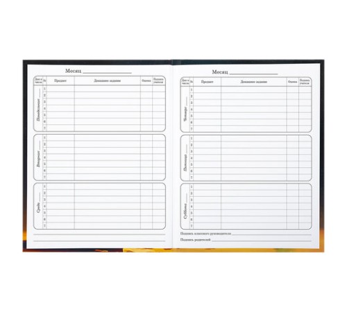 Дневник 1-4 класс 48 л., твердый, BRAUBERG, глянцевая ламинация, с подсказом, 