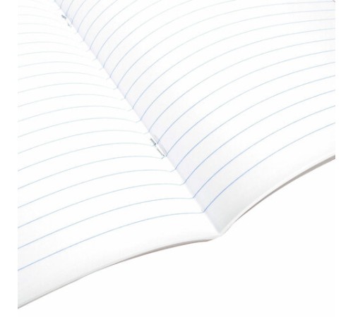 Тетрадь предметная 