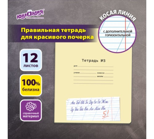 Тетрадь ПРОПИСЬ № 3 12 л. косая линия с ДОПОЛНИТЕЛЬНОЙ ГОРИЗОНТАЛЬНОЙ, со справочным материалом, ЮНЛАНДИЯ, 404853