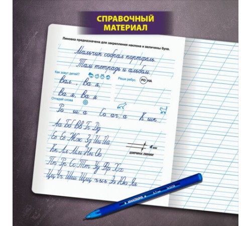 Тетрадь ПРОПИСЬ № 3 12 л. косая линия с ДОПОЛНИТЕЛЬНОЙ ГОРИЗОНТАЛЬНОЙ, со справочным материалом, ЮНЛАНДИЯ, 404853