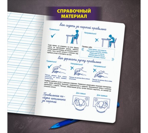 Тетрадь ПРОПИСЬ № 3 12 л. косая линия с ДОПОЛНИТЕЛЬНОЙ ГОРИЗОНТАЛЬНОЙ, со справочным материалом, ЮНЛАНДИЯ, 404853