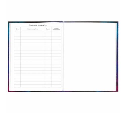 Дневник 5-11 класс 48 л., твердый, BRAUBERG, глянцевая ламинация, с подсказом, 