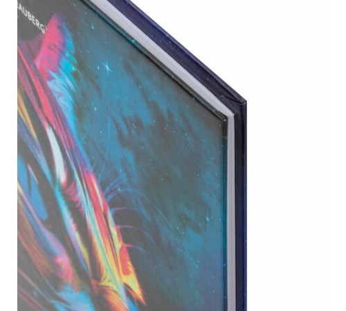 Дневник 5-11 класс 48 л., твердый, BRAUBERG, глянцевая ламинация, с подсказом, 