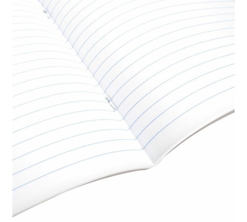 Тетрадь предметная 