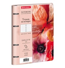 Тетрадь на кольцах БОЛЬШАЯ А4, 240х310 мм, 120 л., под кожу, BRAUBERG VISTA, 